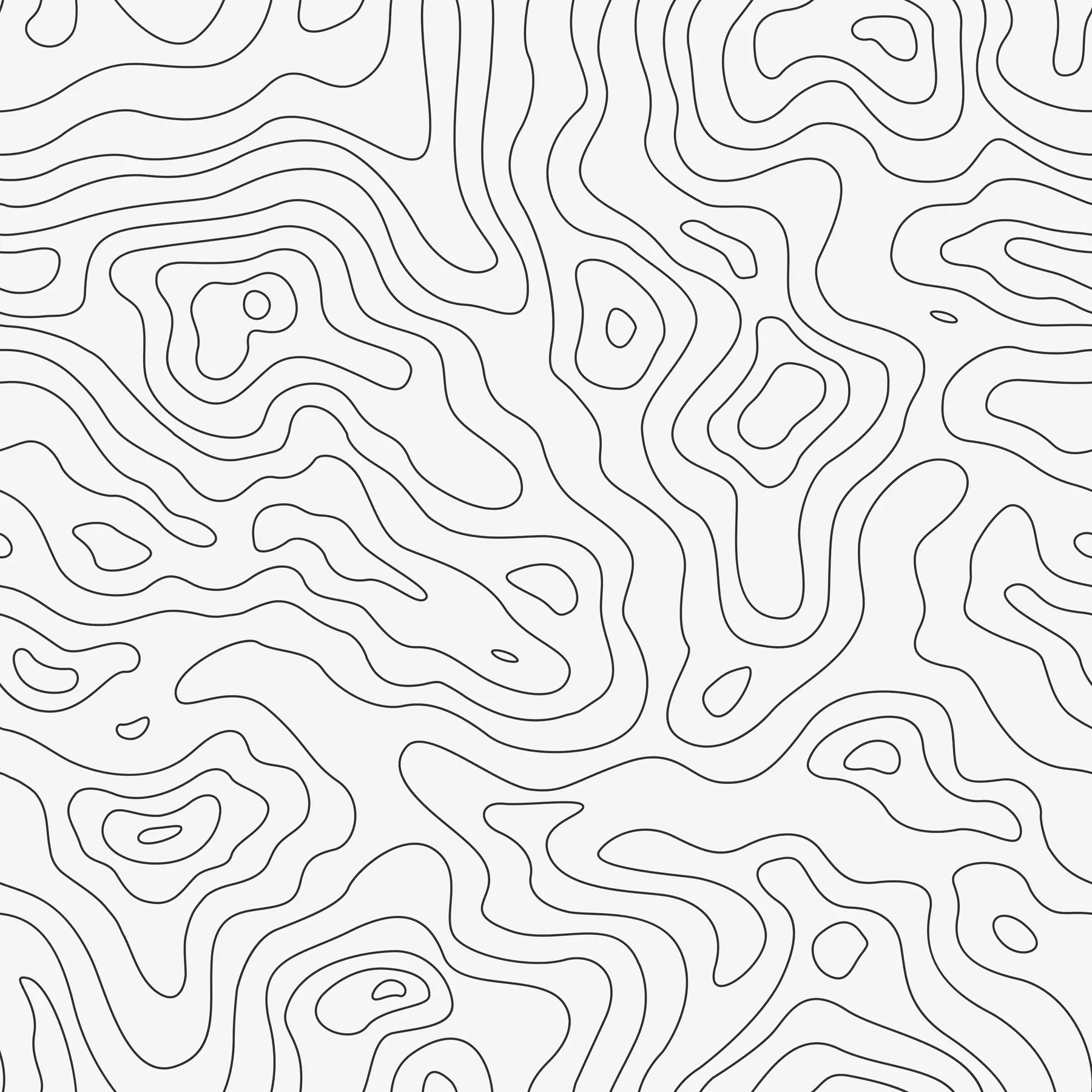 fotószőnyeg Topográfiai térkép u70650