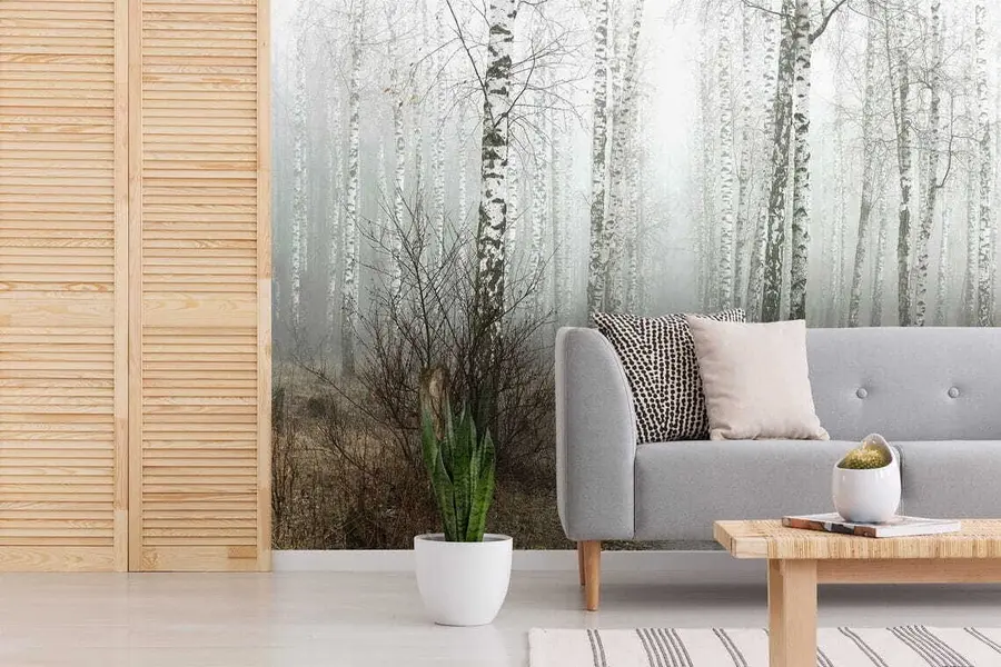 fotószőnyeg Nyírfák a ködben u58950