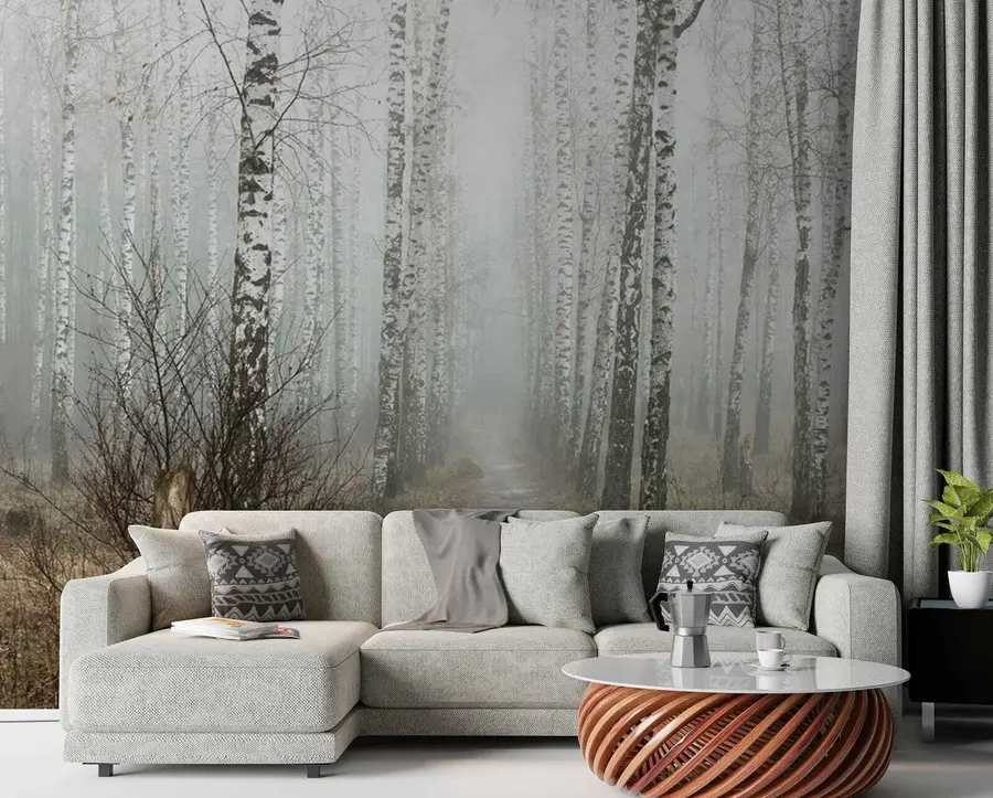 fotószőnyeg Nyírfák a ködben u58950