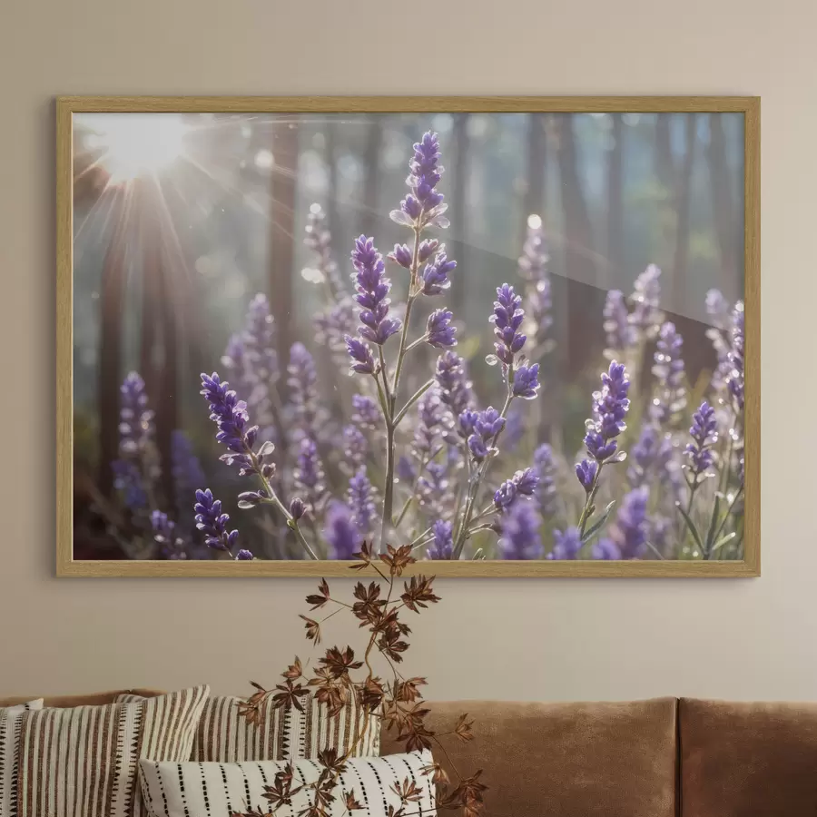fotószőnyeg Lila levendula virágok egy mezőben, elmosódott erdei háttérrel, átszűrődő napfény f40570