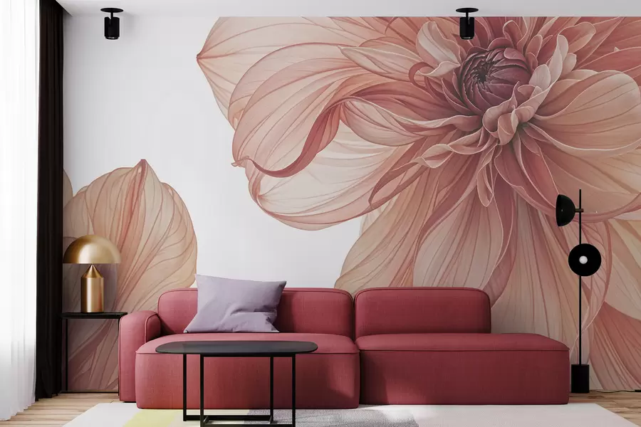 fotószőnyeg Közelkép több nagy, élénk piros dália virágról, lágy, finom szirmokkal fehér háttér előtt w08257