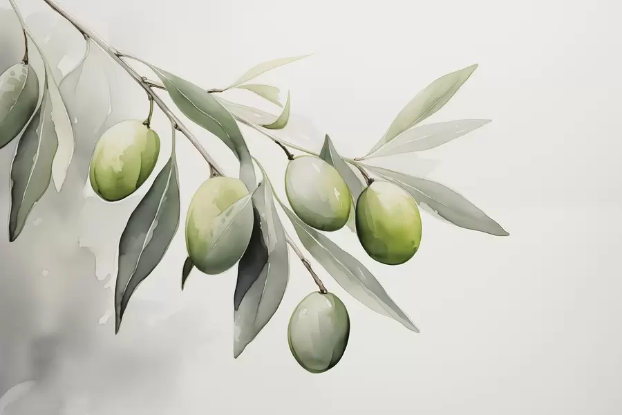 fotószőnyeg Ág zöld olajbogyóval nedves akvarell w02042