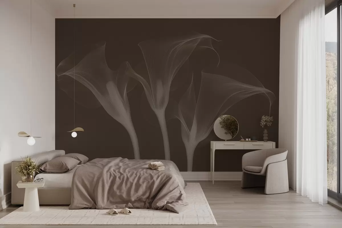 fotószőnyeg légies, átlátszó Zantedeschia virágok sötét háttéren w02632v1
