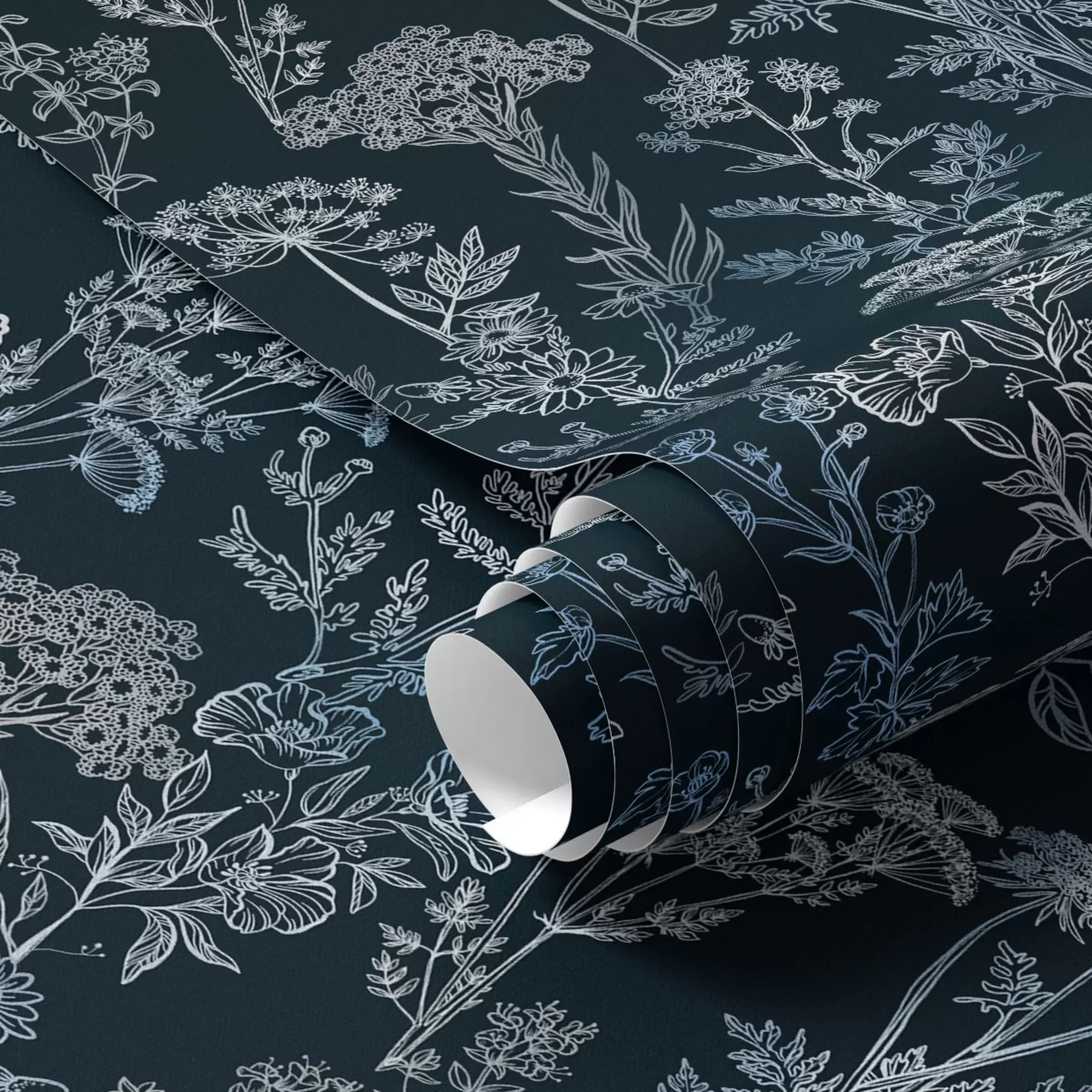 fotószőnyeg Fehér és kék növények sötét háttéren a00029