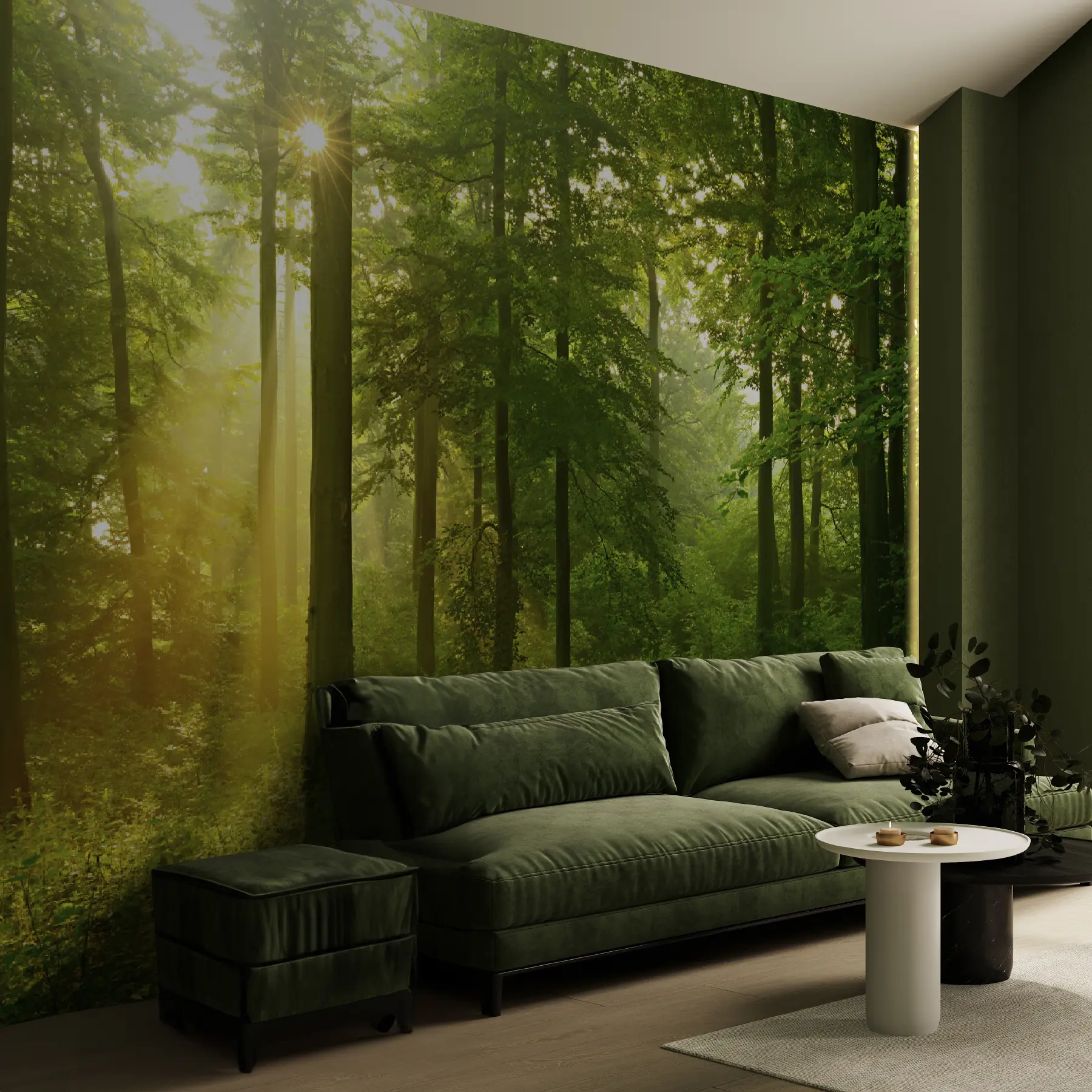 fotószőnyeg Csend a napsütötte erdőben u57295