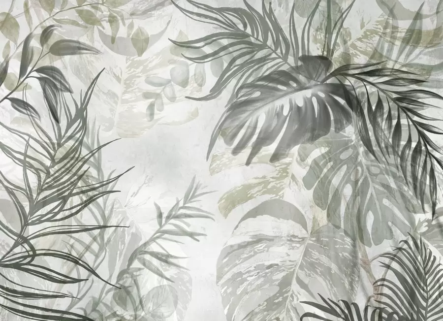 fotószőnyeg Monstera és pálmalevelek a zöld és szürke árnyalataiban, botanikai, trópusi lombozat, dzsungel növények, texturált háttér w09011