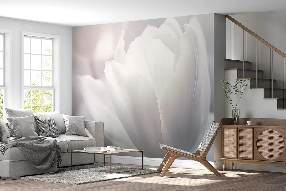 fotószőnyeg Tulipán w04659