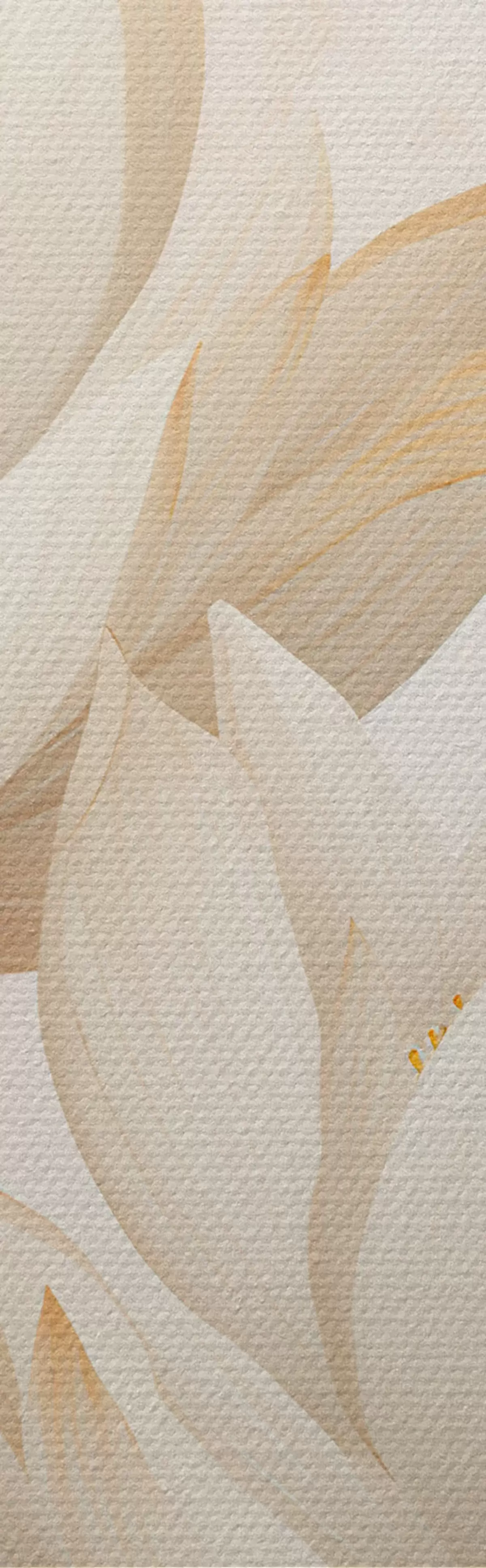 fotótapéta Gyönyörű lótuszvirágok m00861