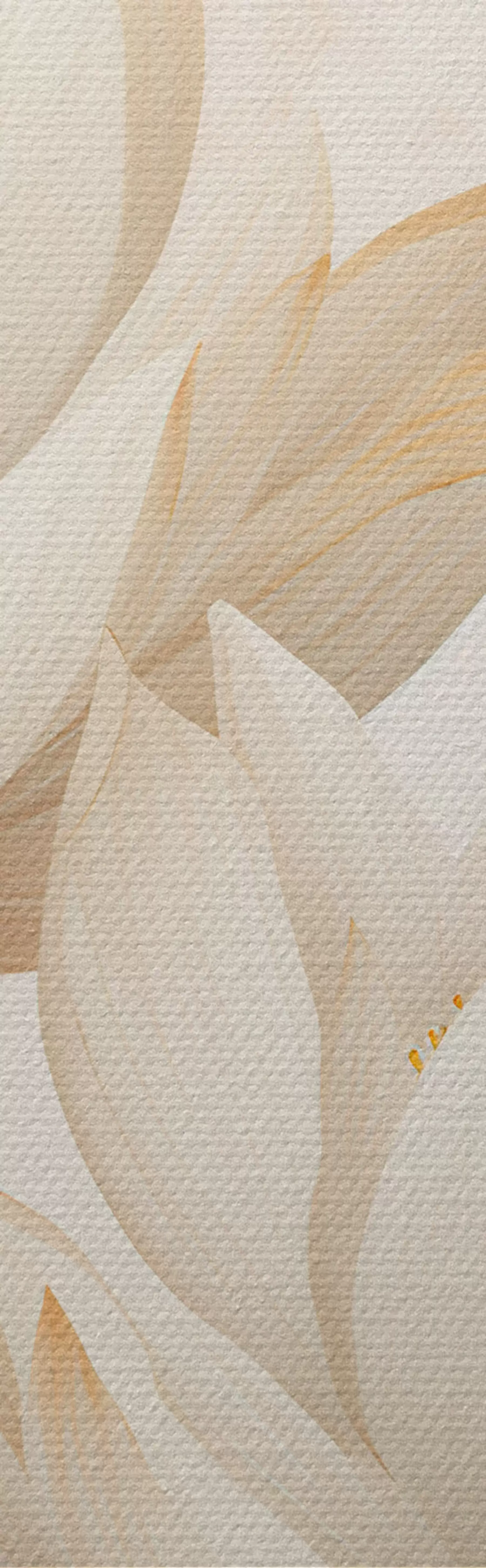 fotótapéta Gyönyörű lótuszvirágok m00861