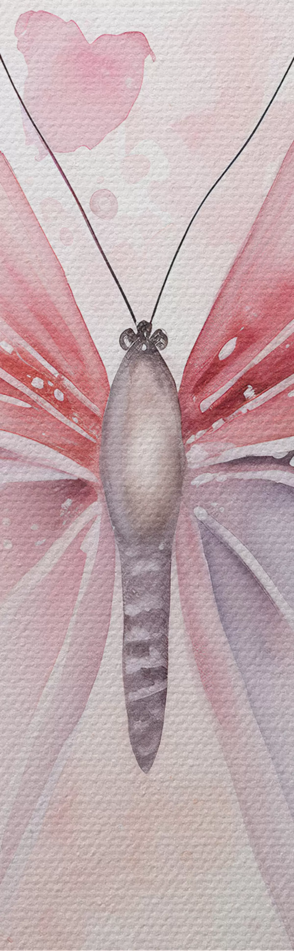 fotótapéta Különböző rózsaszín pillangók m00864