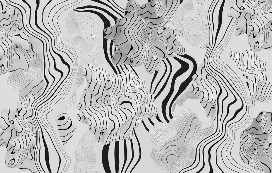 fotószőnyeg absztrakt organikus formák 3D stílusban, fehér és szürke árnyalatokban, fekete csíkokkal w04627