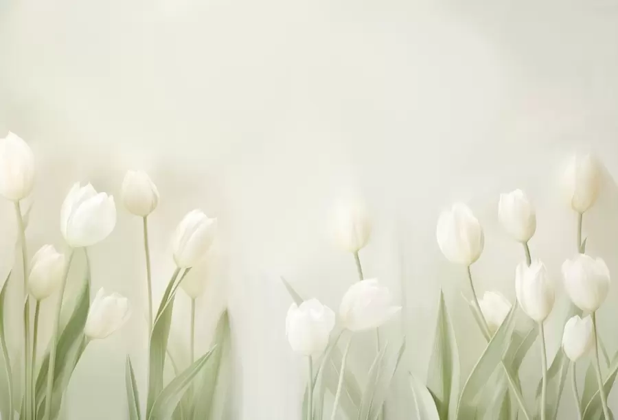 fotószőnyeg Tulipánok w04796