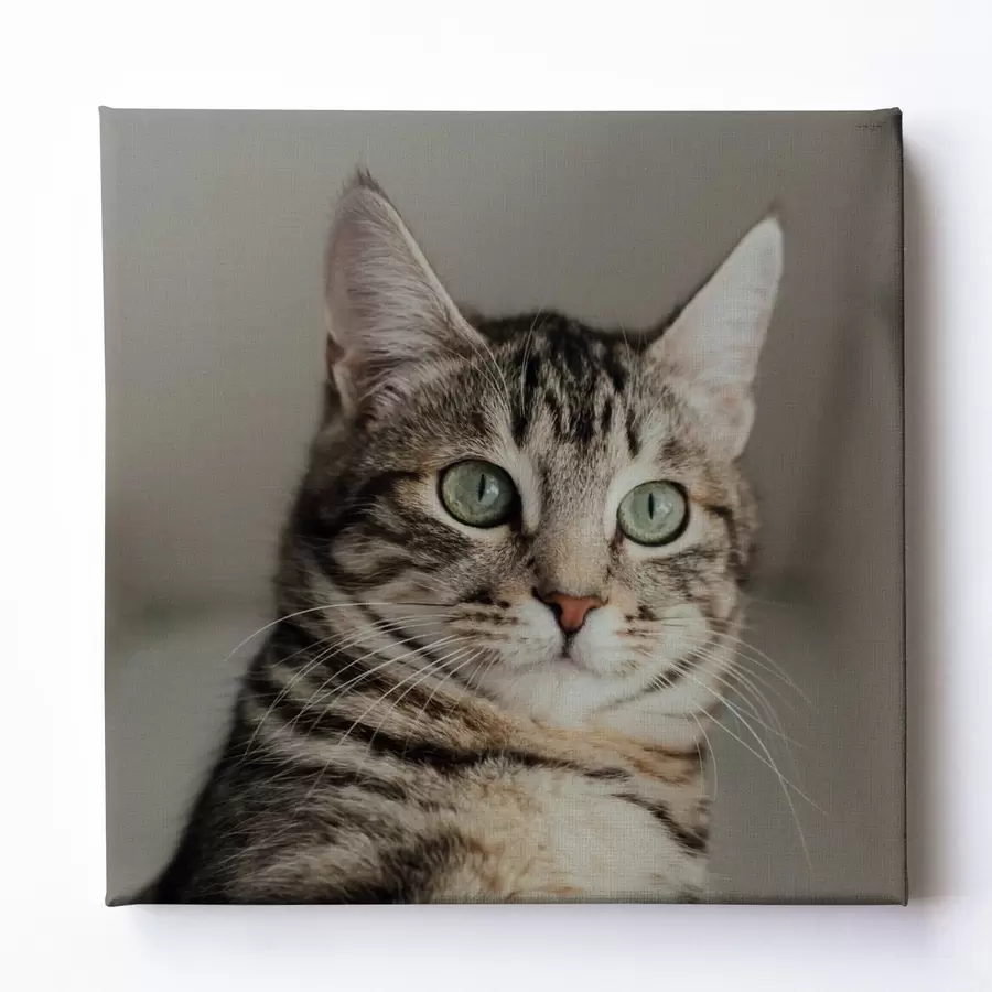 fotótapéta Romantikus ajándék egy párnak egy fotó alapján s47204