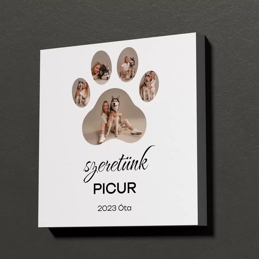 fotótapéta Mancs alakú fotókollázs vászonképen Önnek és kedvenceinek s47585