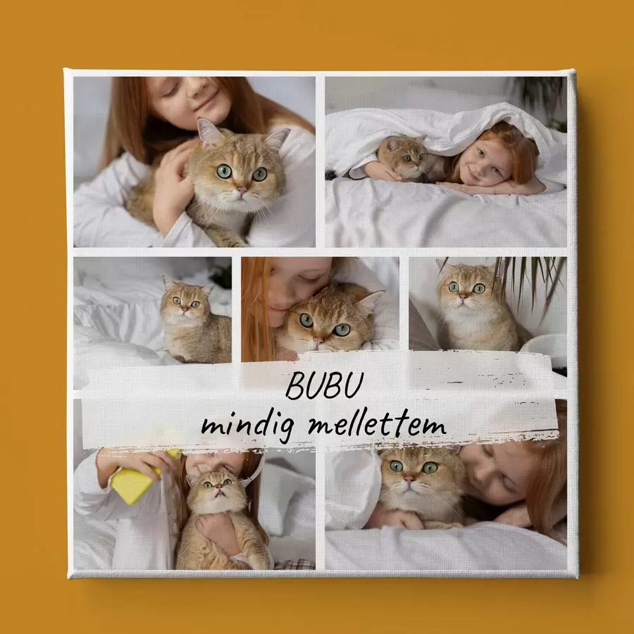 fotótapéta Fotókollázs vászonképen ajándék a lánynak s47594