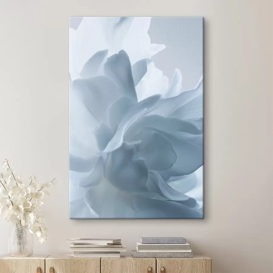 fotótapéta kék árnyalatú finom szirmok s47691