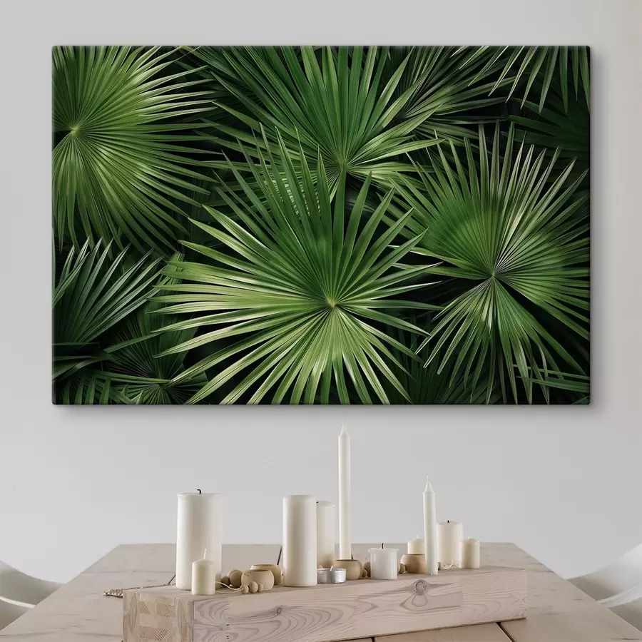 fotótapéta Nagy levelek, bragaea s47746