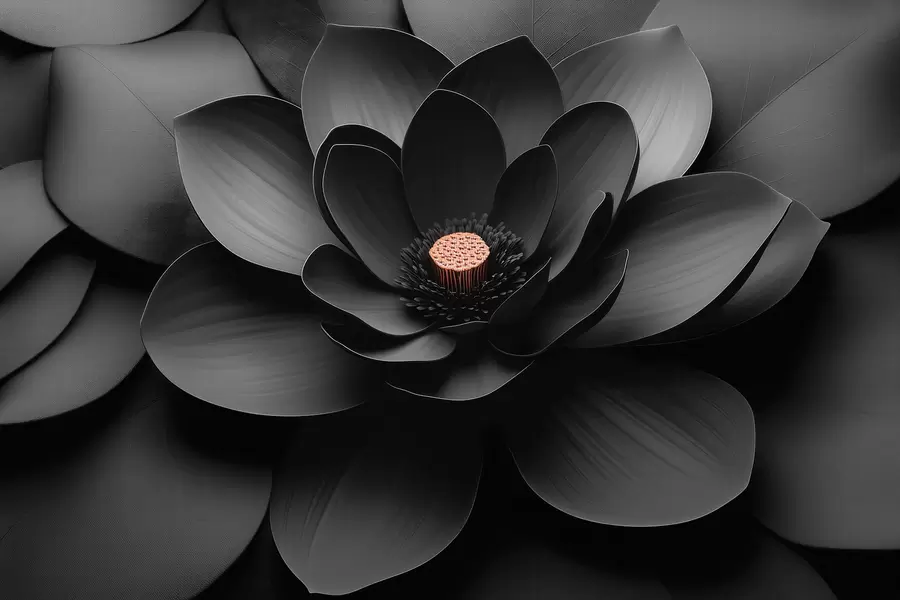 fotószőnyeg Minimalista fekete virág szirmokkal és kontrasztos, meleg színű közepével w09721