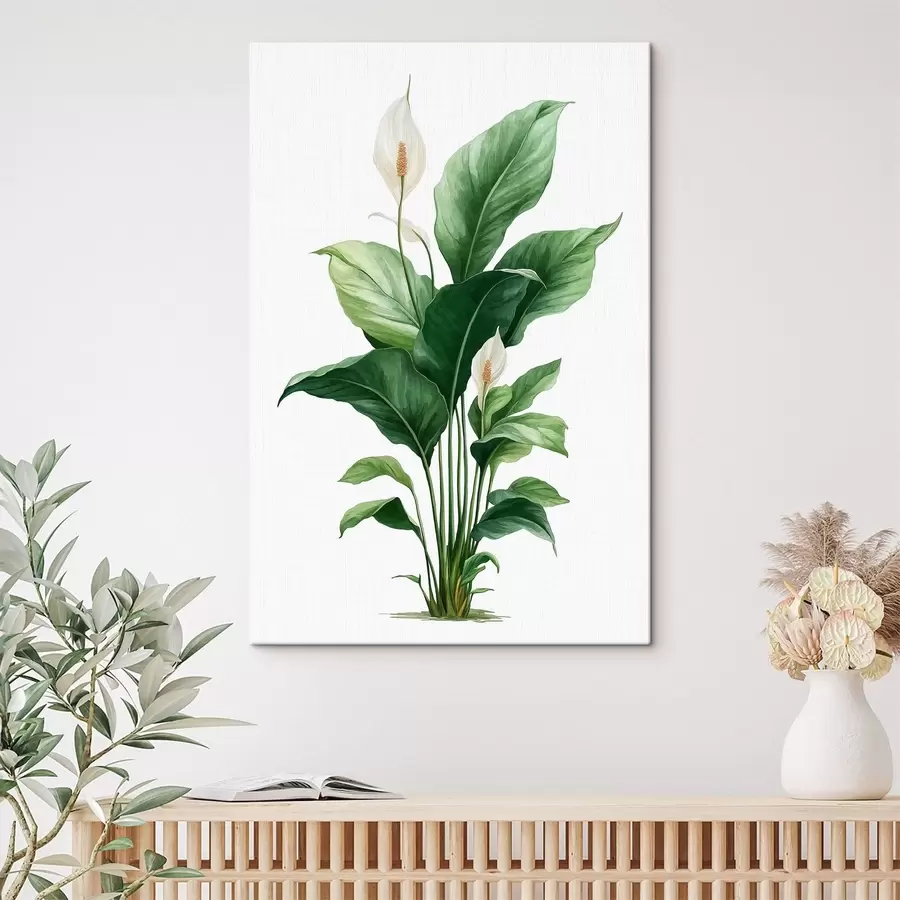 fotótapéta Béke liliom s49335