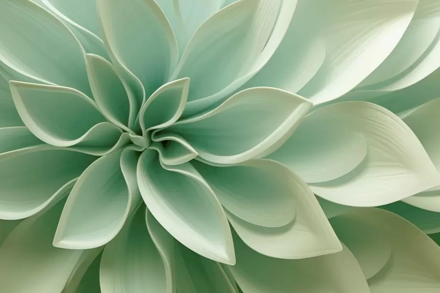 fotószőnyeg Botanikai geometria w05559