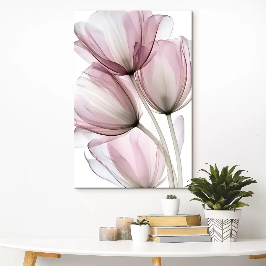 fotótapéta elegáns, félig átlátszó tulipánok s49565