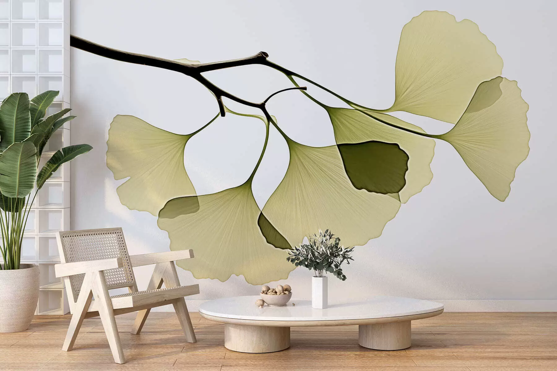 fotószőnyeg Ginkgo-levélraj w09968