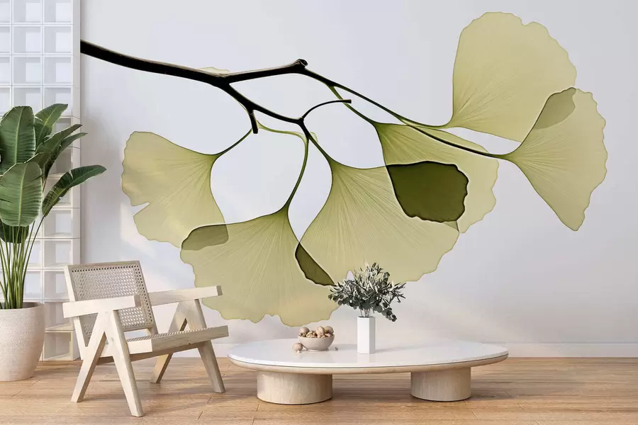 fotószőnyeg Ginkgo-levélraj w09968