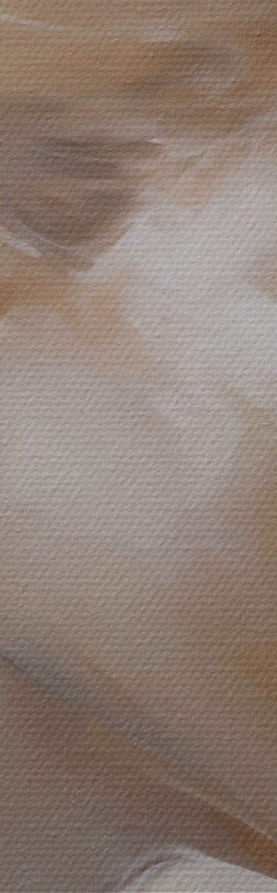 fotótapéta Egy fiatal nő profilportréja s51134