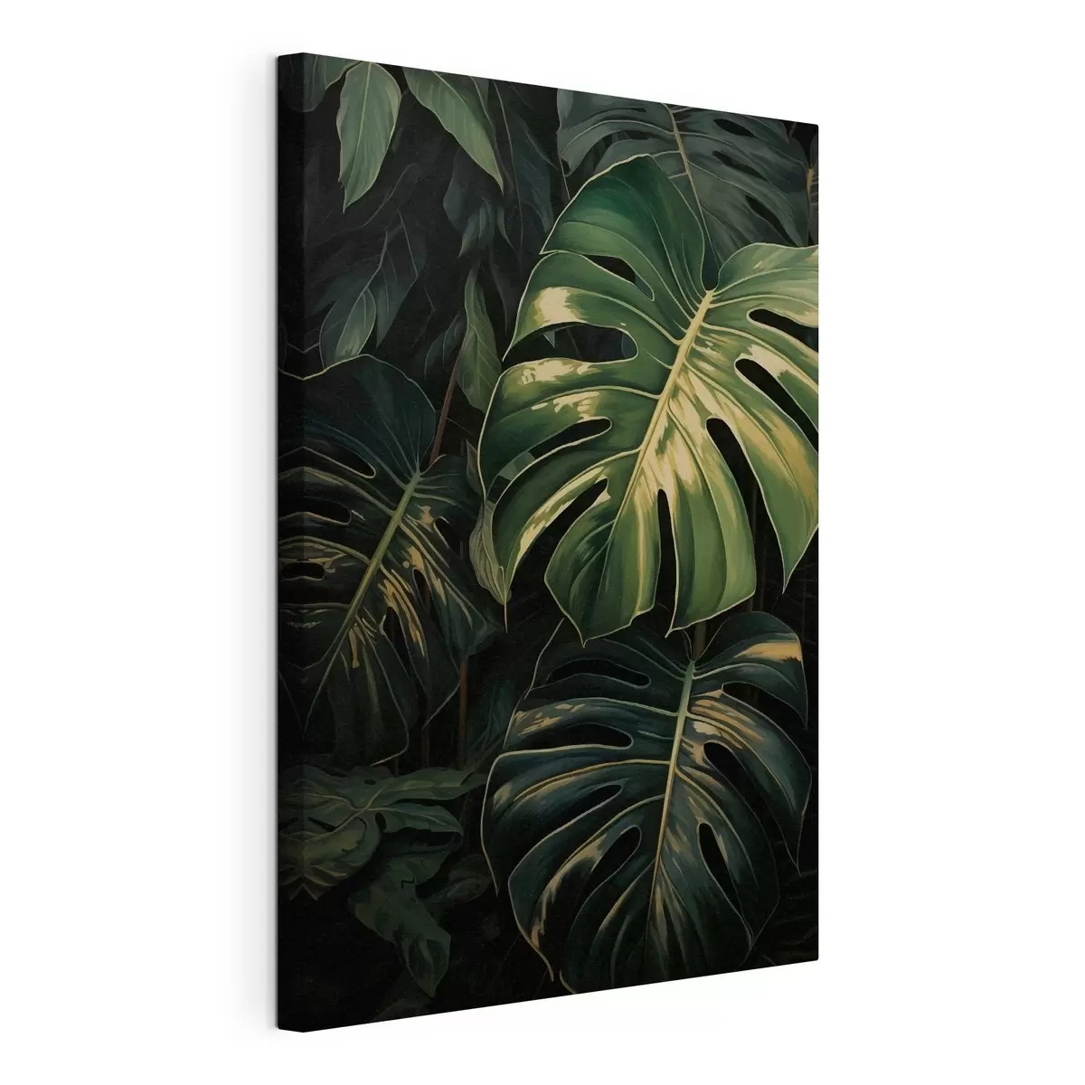 fotótapéta Fényes monstera-levelek a sötét trópusokon s51091