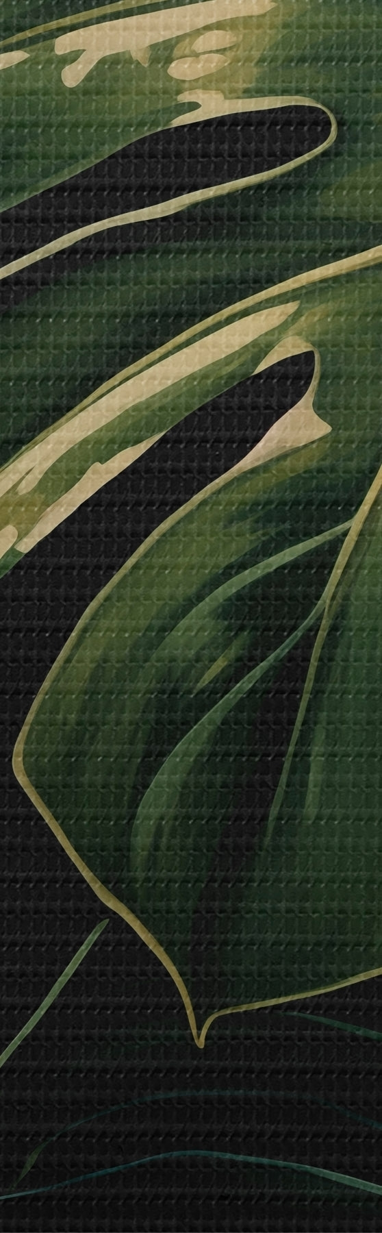 fotótapéta Fényes monstera-levelek a sötét trópusokon s51091