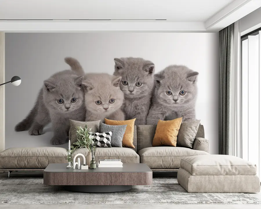 fotószőnyeg Szem, macska és húsevő u55076