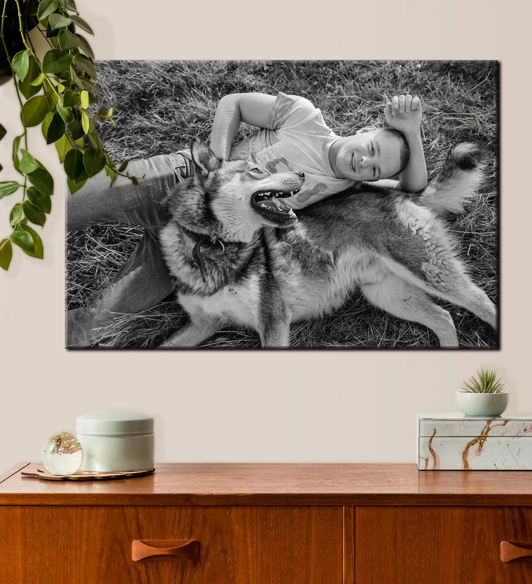 fotótapéta Kutya, gesztus és fekete-fehér s33340